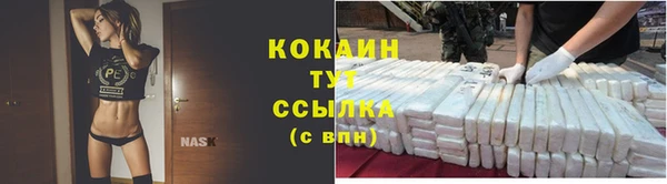 тгк Володарск