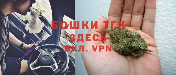 тгк Володарск