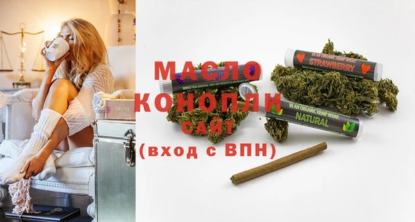 тгк Володарск
