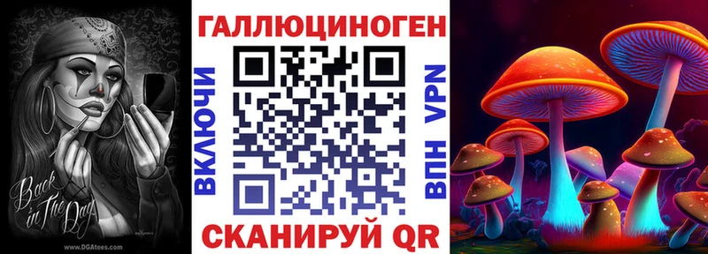 hydra вход  Шахунья  Галлюциногенные грибы GOLDEN TEACHER 